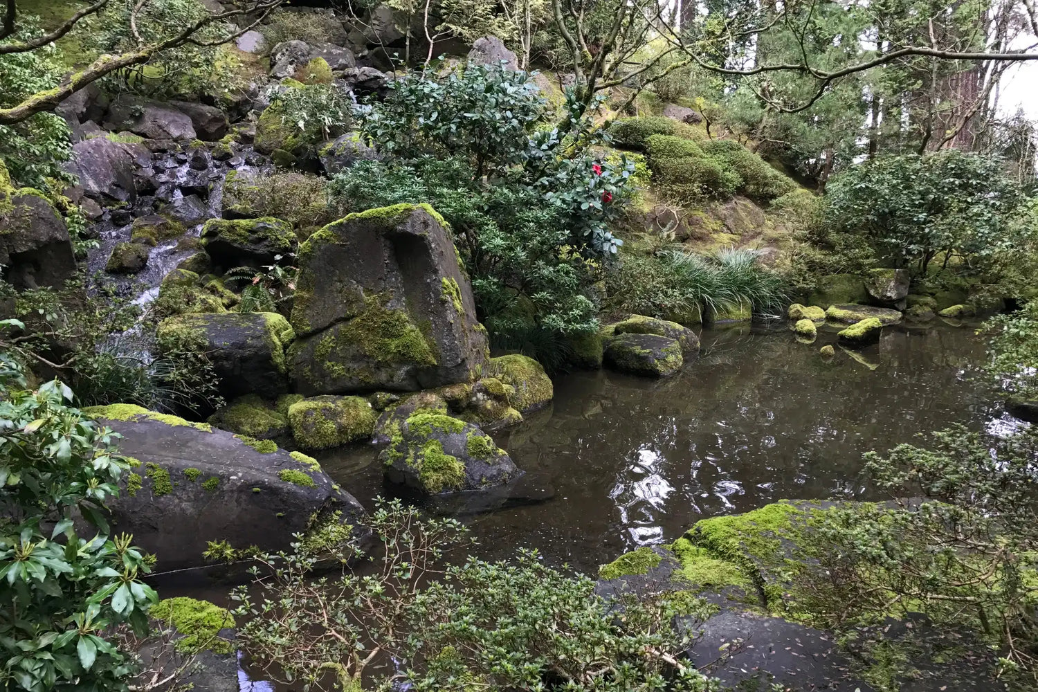 Clarity in the Meaning and Truth of Datsusara - DATSUSARA LLC