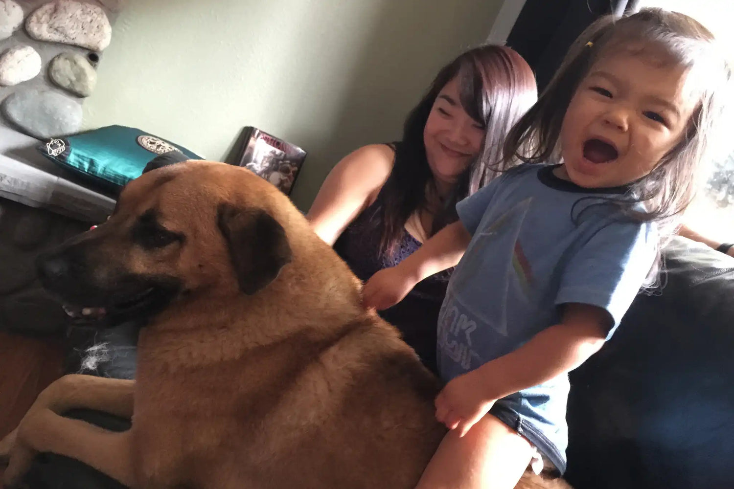 The State of Datsusara, or How to Manage 3 Children and a Life. - DATSUSARA LLC