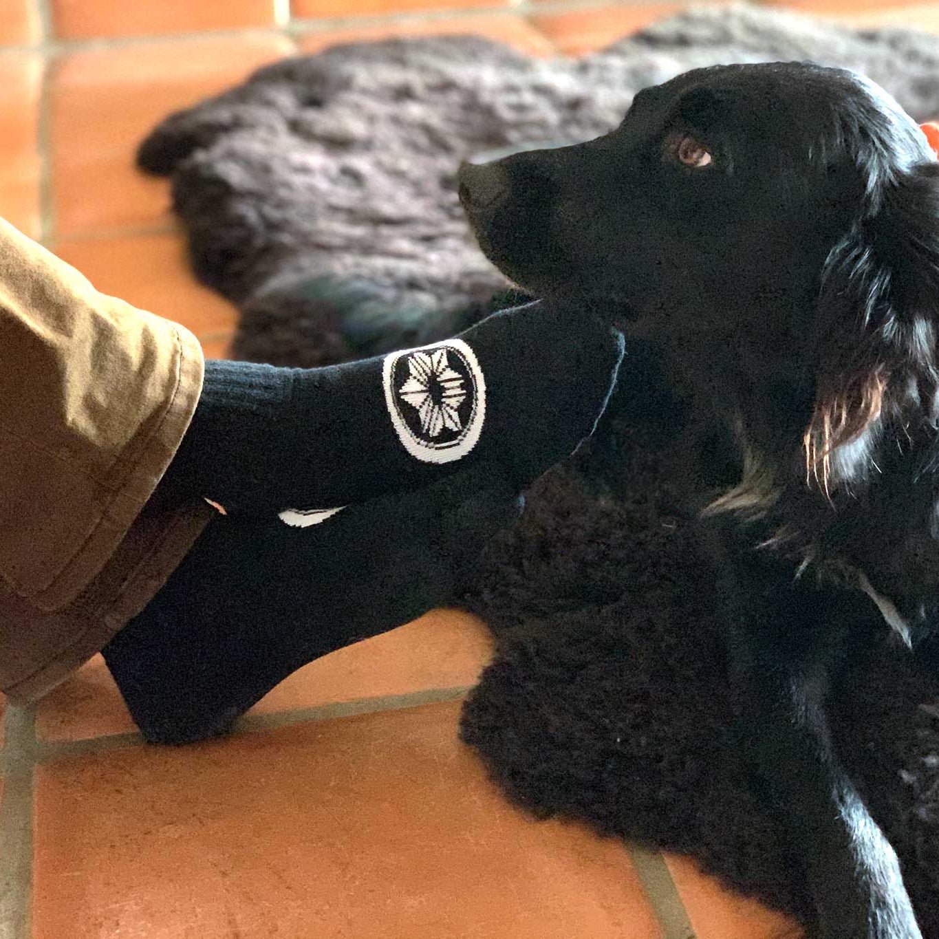 Socks, Crew Cut - DATSUSARA LLC